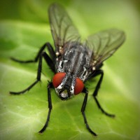 /album/unlintiocor/photolia-a01-jpg/