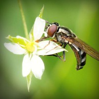 /album/unlintiocor/photolia-a02-jpg/