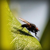 /album/unlintiocor/photolia-a04-jpg/