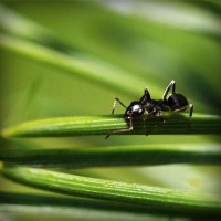 /album/unlintiocor/photolia-a05-jpg/