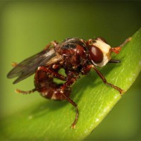 /album/unlintiocor/photolia-a06-jpg/