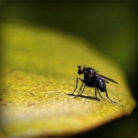 /album/unlintiocor/photolia-a07-jpg/