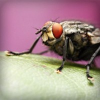 /album/unlintiocor/photolia-a08-jpg/